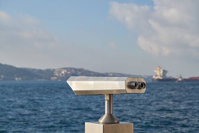 birds, nature, binoculars, wildlife, observation, outdoors