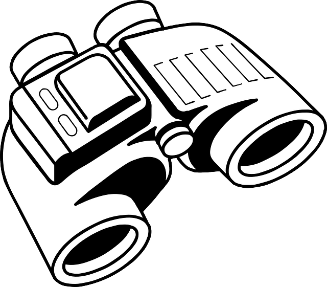 birds, nature, binoculars, wildlife, observation, outdoors