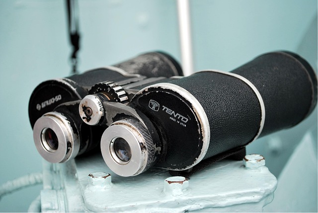 birds-nature-binoculars-wildlife-observa-640x480-63642322.jpeg