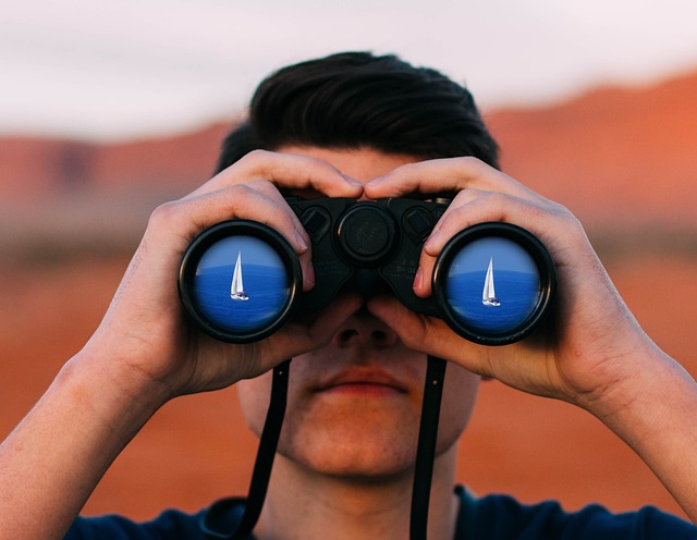 birds, nature, binoculars, wildlife, observation, outdoors