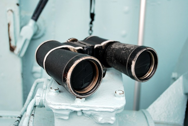 birds, nature, binoculars, wildlife, observation, outdoors