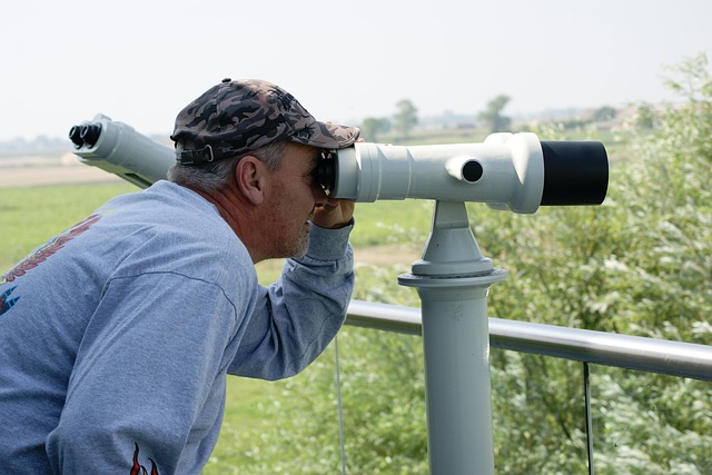 birds, nature, binoculars, wildlife, observation, outdoors