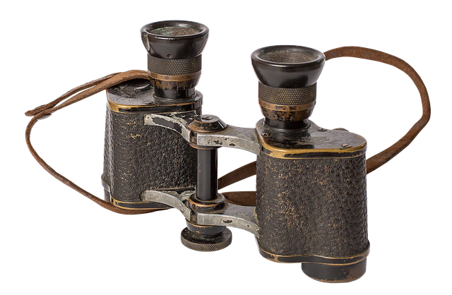 birds, nature, binoculars, wildlife, observation, outdoors