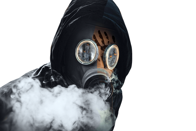 black, mold, toxic, danger, spores, health