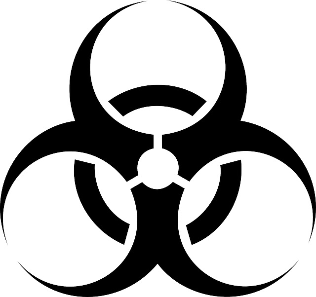 black, mold, toxic, danger, spores, health