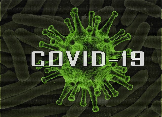 black, mold, toxic, danger, spores, health