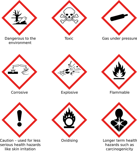 black, mold, toxic, danger, spores, health