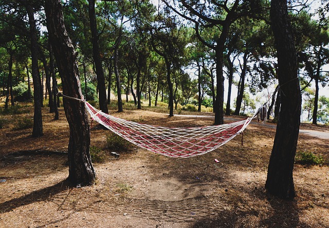 camping
