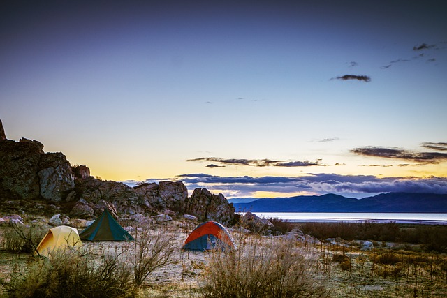 Camping, Campgrounds, Nature, Outdoors, Tents, RV