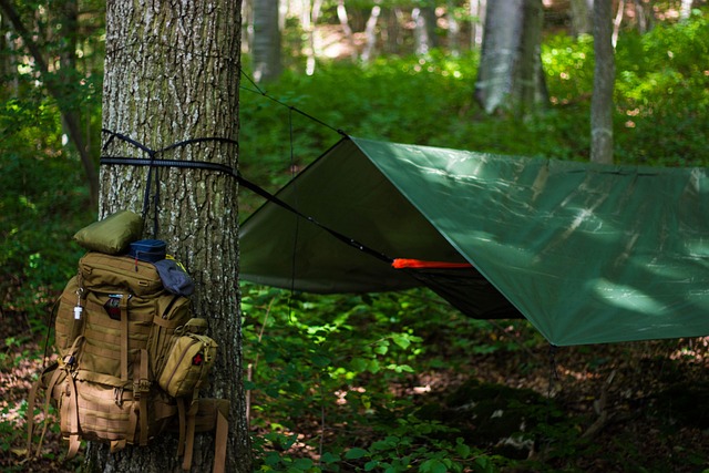 camping-campgrounds-nature-outdoors-tent-640x480-42795225.jpeg