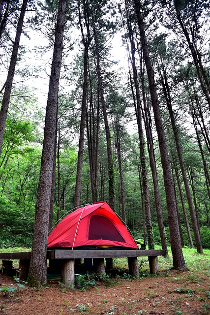 Camping, Campgrounds, Nature, Outdoors, Tents, RV