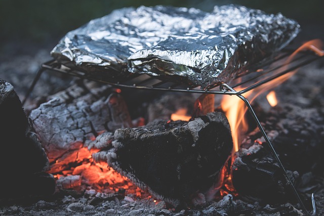 camping, tents, campfire, forest, nature, outdoors