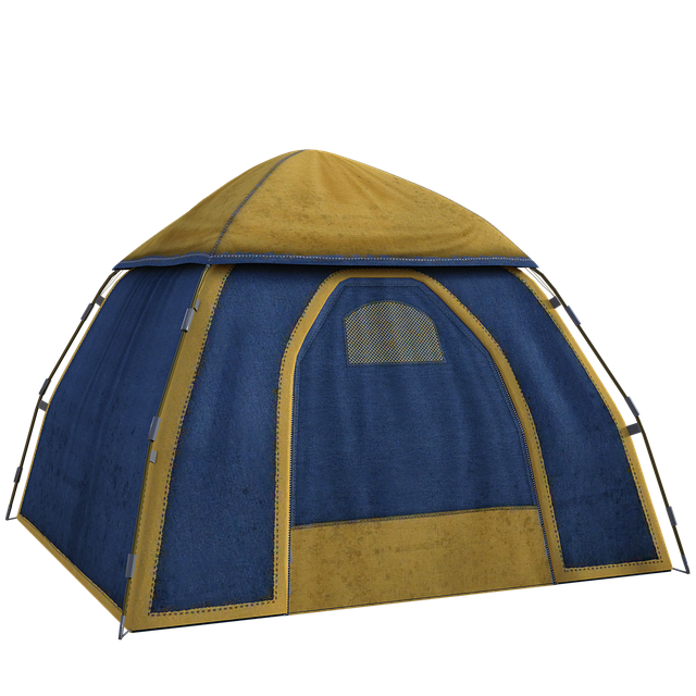 camping, tents, campfire, forest, nature, outdoors
