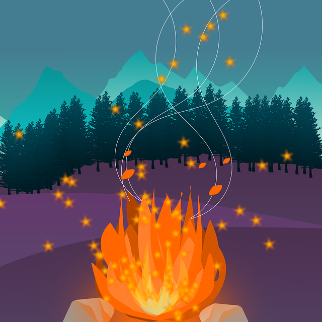 camping, tents, campfire, forest, nature, outdoors