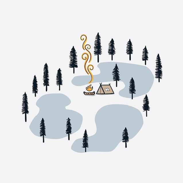 camping, tents, campfire, forest, nature, outdoors