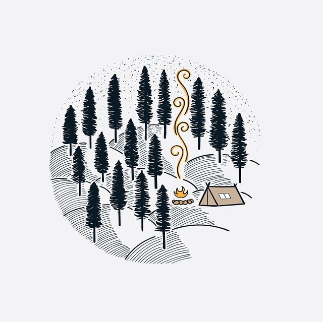 camping, tents, campfire, forest, nature, outdoors