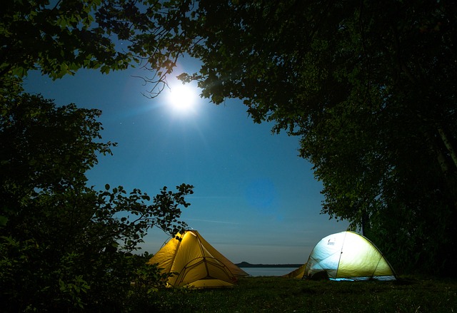 camping-tents-campfire-forest-nature-out-640x480-26276216.jpeg