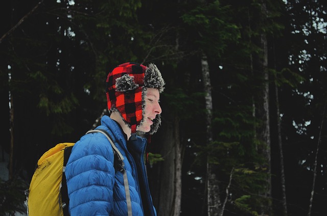 camping, tents, campfire, forest, nature, outdoors