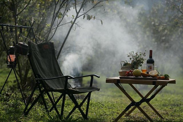 camping, tents, campfire, forest, nature, outdoors