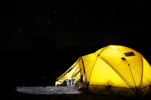camping, tents, campfire, forest, nature, outdoors