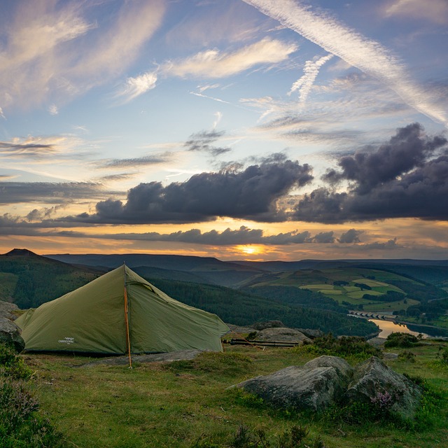 camping, tents, campfire, forest, nature, outdoors