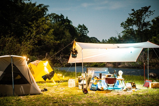 camping, tents, campfire, forest, nature, outdoors