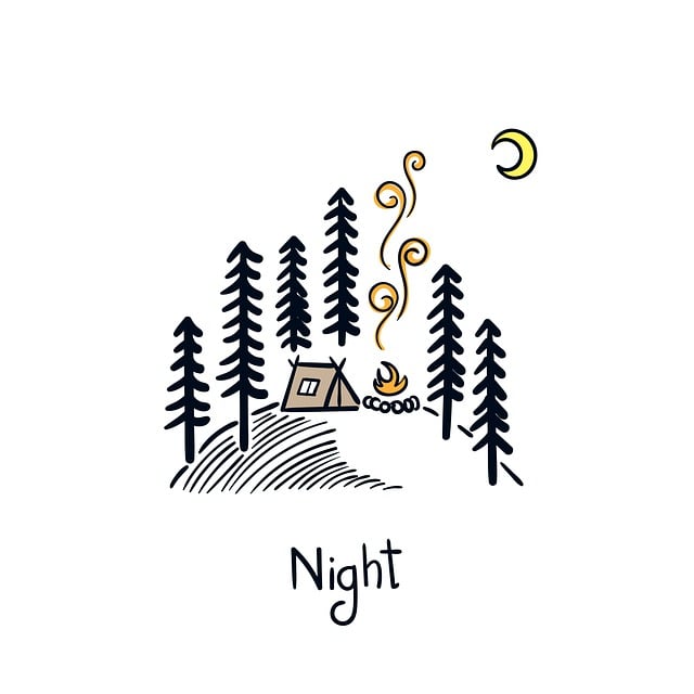 camping-tents-campfire-forest-nature-out-640x480-55527620.jpeg