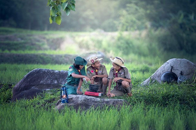 camping, tents, campfire, forest, nature, outdoors