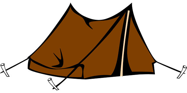 camping, tents, campfire, forest, nature, outdoors