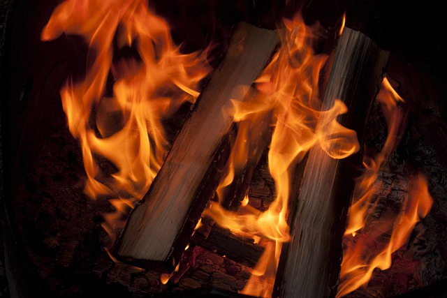 camping, tents, campfire, forest, nature, outdoors
