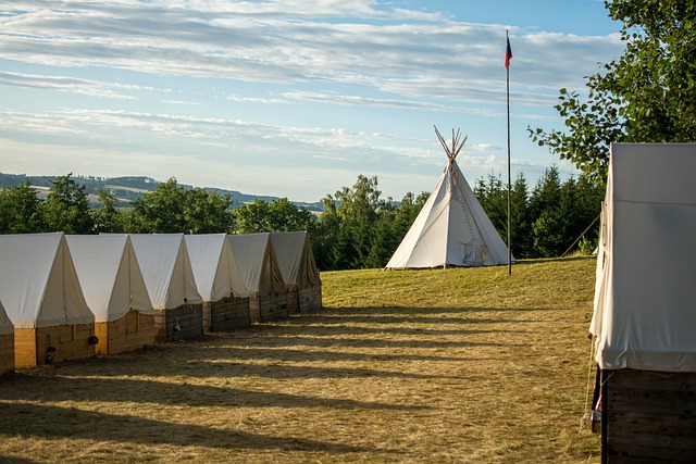 camping, tents, campfire, forest, nature, outdoors