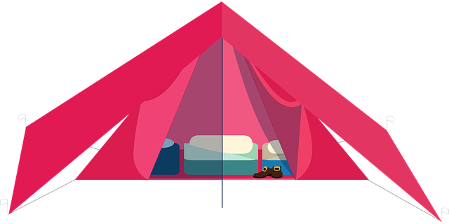 camping-tents-campfire-forest-nature-out-640x480-87710343.png