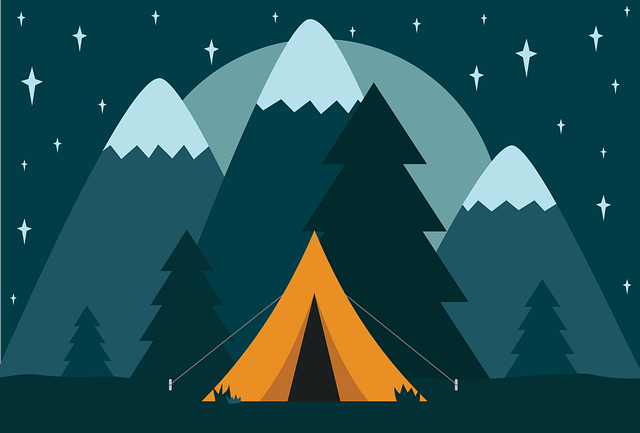 camping, tents, campfire, forest, nature, outdoors