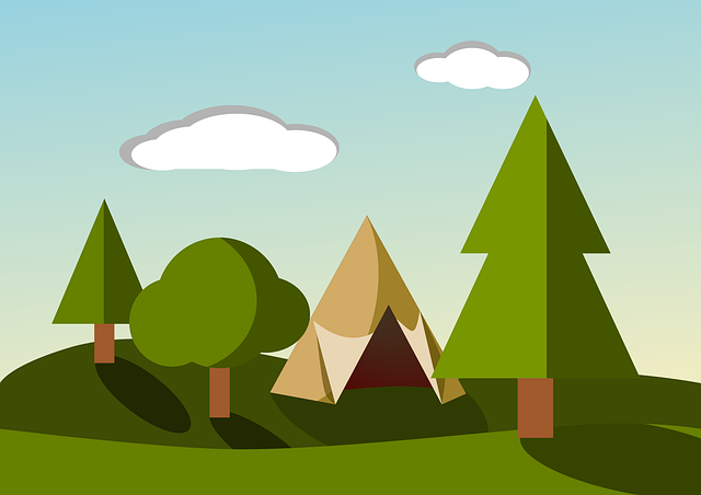 camping, tents, campfire, forest, nature, outdoors