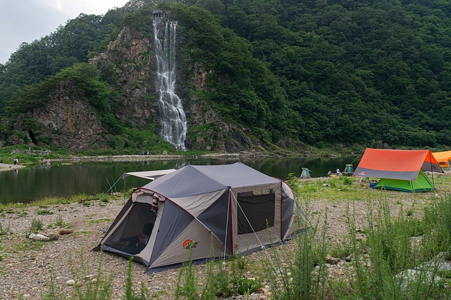 camping, tents, campfire, nature, forest, outdoors