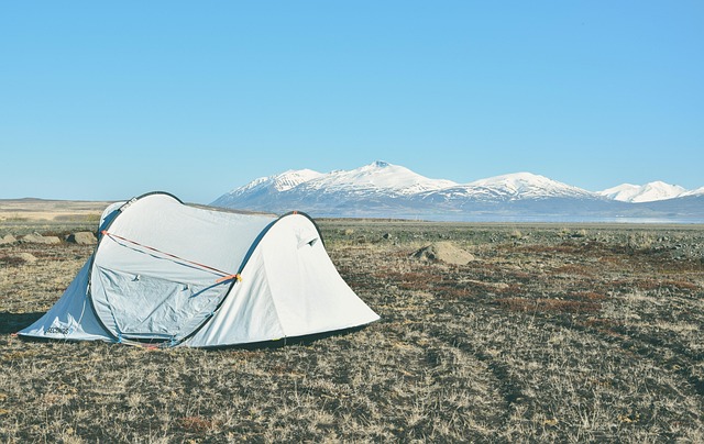 camping, tents, campfire, nature, forest, outdoors