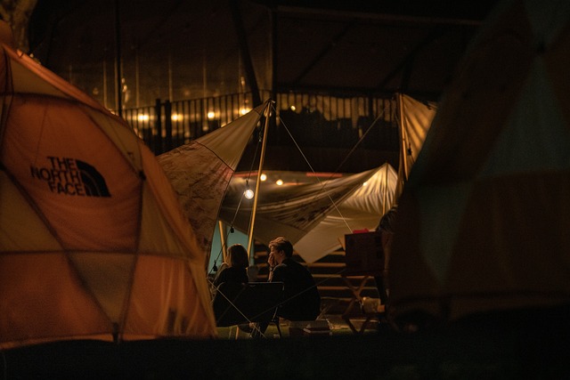 camping, tents, campfire, nature, forest, outdoors