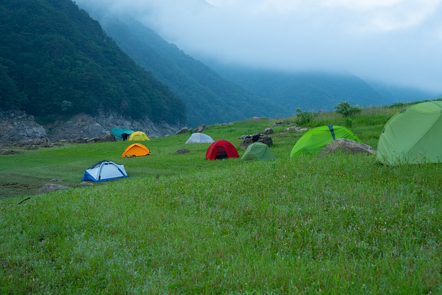 camping-tents-campfire-nature-forest-out-640x480-18621169.jpeg