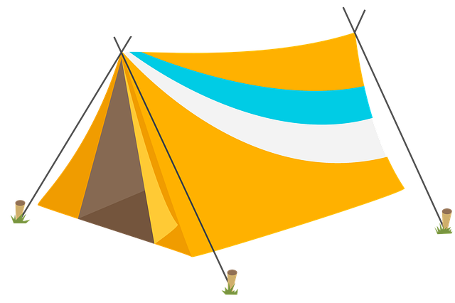 camping, tents, campfire, nature, forest, outdoors