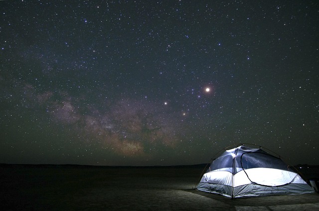 camping, tents, campfire, nature, forest, outdoors