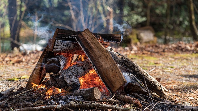 camping, tents, campfire, nature, forest, outdoors