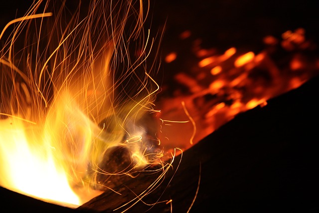 camping, tents, campfire, nature, forest, outdoors