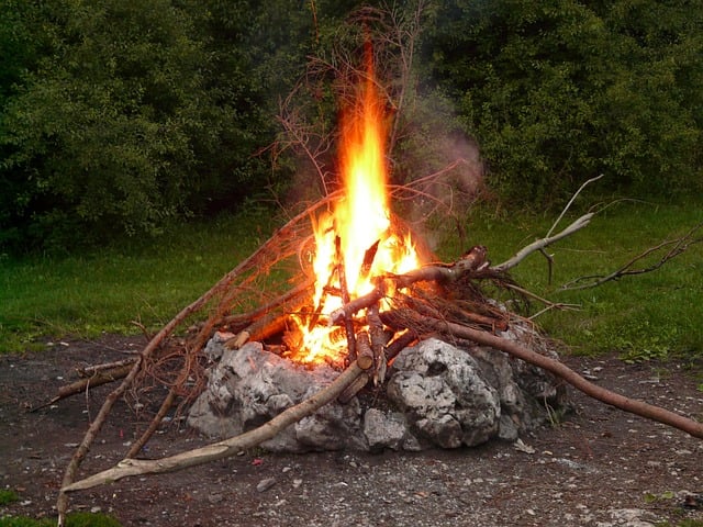 camping, tents, campfire, nature, forest, outdoors