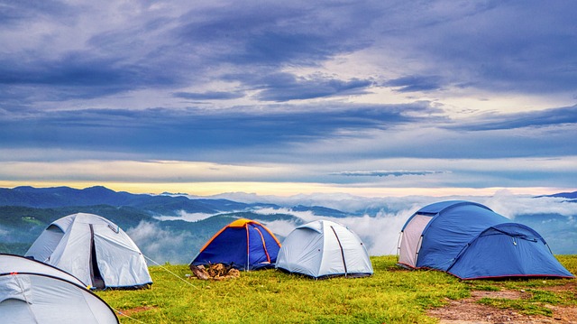 camping, tents, campfire, nature, forest, outdoors