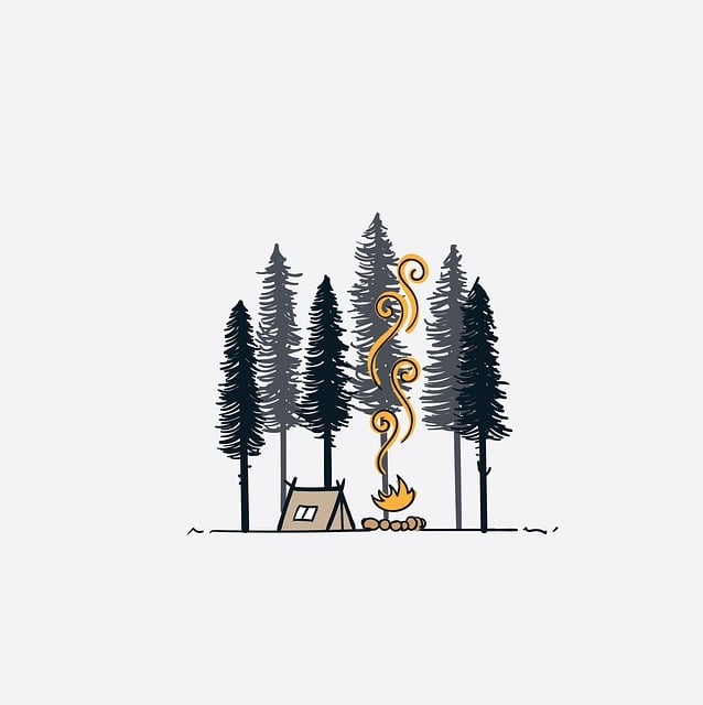 Explore Lane County’s Best Forest Campsites: A Guide to Urban & Secluded Oregon Camping