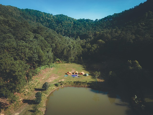 camping-tents-campfire-nature-forest-out-640x480-36804117.jpeg