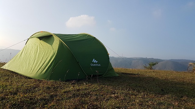 camping, tents, campfire, nature, forest, outdoors