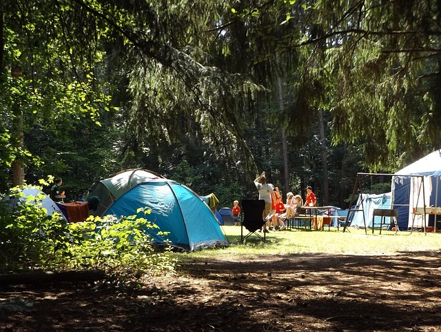 camping, tents, campfire, nature, forest, outdoors