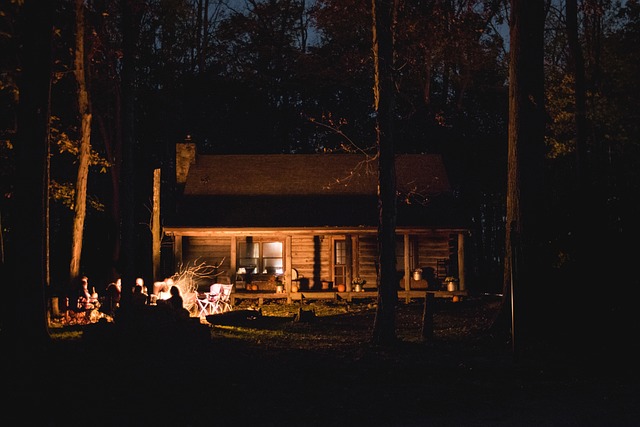 camping, tents, campfire, nature, forest, outdoors