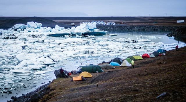 camping, tents, campfire, nature, forest, outdoors